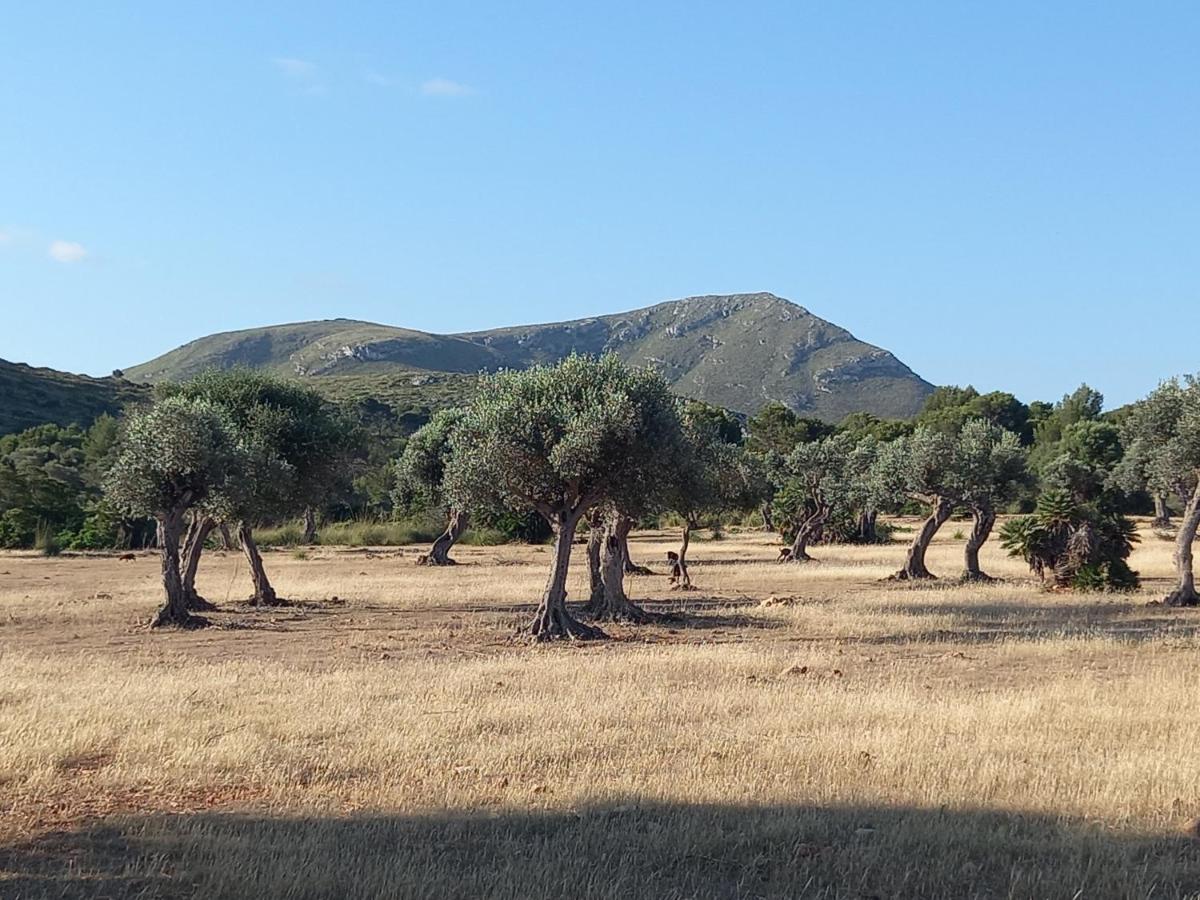 El Nido De Betlem Appartement Colònia de Sant Pere Buitenkant foto